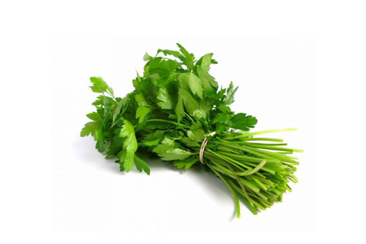 Coriander Bunch (Dhaniya) x 3 - Autumn Offers